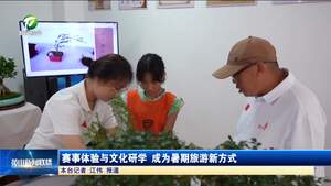 赛事体验与文化研学 成为暑期旅游新方式