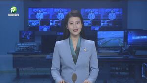 市委常委会会议强调 深入学习贯彻习近平总书记重要讲话精神 真抓实干 创新突破 奋力实现一季度“开门红”