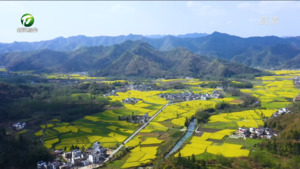 “五微”实现“五美” 全力打造乡村建设新典范