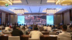 吾心安处是黄山“美好夏天，向黄山出发”文旅发布会在上海举行 凌云讲话 孙勇推介