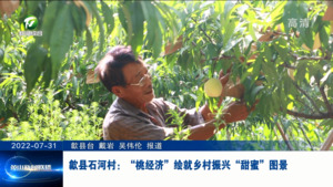 歙县石河村：“桃经济”绘就乡村振兴“甜蜜”图景