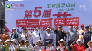 徽州区：灵山西瓜喜获丰收
