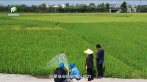 休宁：“智慧农业排灌系统”助力农业生产精准灌溉