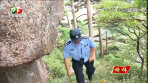 转播省台节目