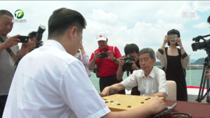 妙手连珠 乐在“棋”中 围棋国手落子太平湖