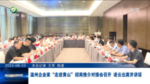 温州企业家“走进黄山”招商推介对接会召开 凌云出席并讲话