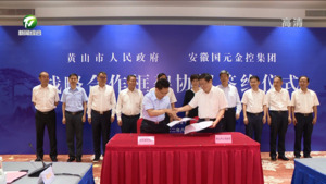 市政府与安徽国元金融控股集团签署战略合作框架协议 凌云黄林沐讲话 孙勇主持