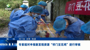 简讯 专家组对申报新发现资源“祁门豆花鸡”进行审核