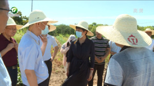 凌云以“四不两直”方式赴徽州区调研时要求 坚持以人民为中心的发展思想 以更高标准更实举措推进工作