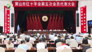 黄山市红十字会第五次会员代表大会召开 凌云 张青讲话 孙勇出席