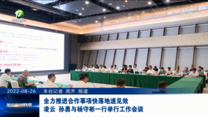 全力推进合作事项快落地速见效 凌云孙勇与杨守彬一行举行工作会谈
