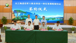 共建跨省协作新机制  共谱就业创业新篇章 孙勇出席长三角退役军人就业创业一体化研讨会并致辞