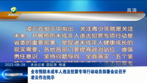全市预防未成年人违法犯罪专项行动动员部署会议召开 凌云作出批示