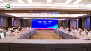市政府与合肥学院签署战略合作协议