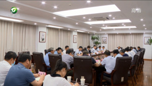 全市固定资产投资调度会召开