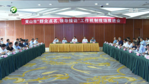 全市“群众点名、领导接访”工作机制现场推进会召开