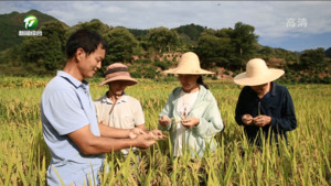 简讯：歙县：治理酸化耕地 提升耕地质量