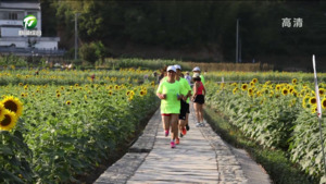 “72小时奇遇记” 2022古徽州文化旅游区秋季嘉年华徽州区专场精彩呈现