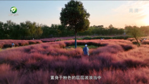 畅游山水间 我市各地迎来旅游热潮