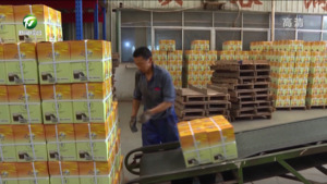 屯溪区：企业不停工 加班赶订单