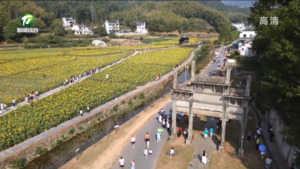 徽州区：假日旅游不负秋色 精彩不断