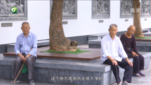休宁县：“席地而坐”让幸福触“地”可及