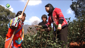 龙守菊：团结奋斗 共圆幸福梦