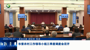 市委农村工作领导小组三季度调度会召开