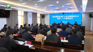 市纪委常委会扩大会议暨传达学习党的二十大精神会议召开