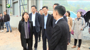 黄山市财政衔接推进乡村振兴补助资金项目建设现场会召开