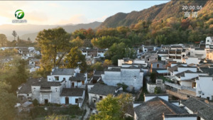 黟县：塔川秋色正当时