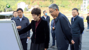 凌云赴黄山风景区和汤口镇调研时强调 以开放姿态改革思维创新办法推进山上山下联动发展