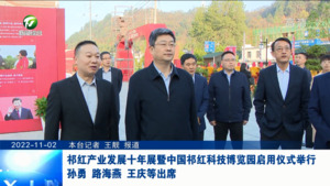 祁红产业发展十年展暨中国祁红科技博览园启用仪式举行 孙勇路海燕王庆等出席