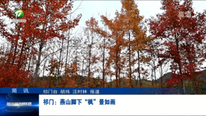 简讯：祁门：燕山脚下“枫”景如画