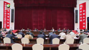 凌云在全市暖民心行动工作推进会上强调 用心用情用力解决好群众急难愁盼问题 孙勇出席并讲话 罗建华出席