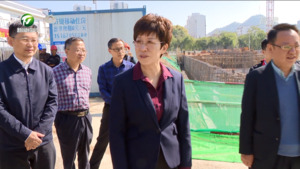 凌云调研重大项目时强调 锚定目标盯紧节点加速推进 以项目建设实效检验学习宣传贯彻成效
