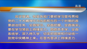 市委常委会会议强调 认真学习宣传贯彻党的二十大精神 以实干笃行书写高质量发展精彩答卷