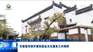 市委宣传部开展民宿业文化服务工作调研