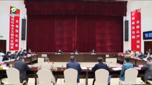 市委统一战线领导小组2022年第二次全体会议暨市委对台湾工作领导小组会议召开