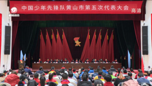 中国少年先锋队黄山市第五次代表大会召开 凌云 李丹云 孙勇 肖善武出席