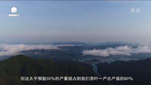 太平猴魁：形若戈戟云横 味若深谷幽兰