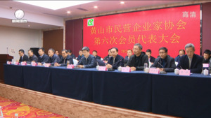 黄山市民营企业家协会第六届会员代表大会召开 孙勇出席