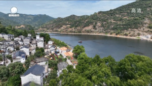 凌云赴屯溪区歙县调研时要求 打造和美乡村新样板 让“绿起来” 带动“富起来”实现“强起来”“美起来”