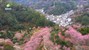 简讯 歙县卖花渔村入选《2022世界旅游联盟—旅游助力乡村振兴案例》