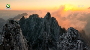 雾凇云海齐上阵 大美黄山引客来