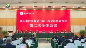 胡黎明在黄山市庐江商会二届一次会员代表大会上指出 让商会成为加强两地经济交流合作的桥梁和纽带