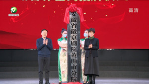 两省三地“徽剧振兴”战略合作签约授牌仪式在我市举行 凌云 孙勇张健 罗建华等出席