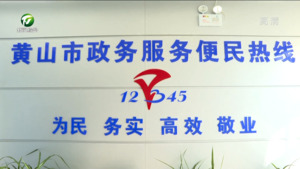 市12345政务便民热线：解决群众诉求 回应群众期待