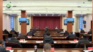 凌云在全市疫情防控工作领导小组会议上强调 最大程度保护人民生命安全和身体健康 最大限度减少疫情对经济社会发展的影响