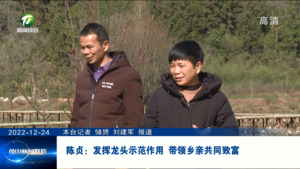 陈贞：发挥龙头示范作用 带领乡亲共同致富